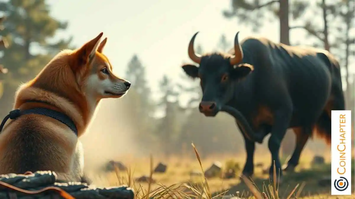 Dogecoin（Doge/USD）闪烁短期图表的看涨信号